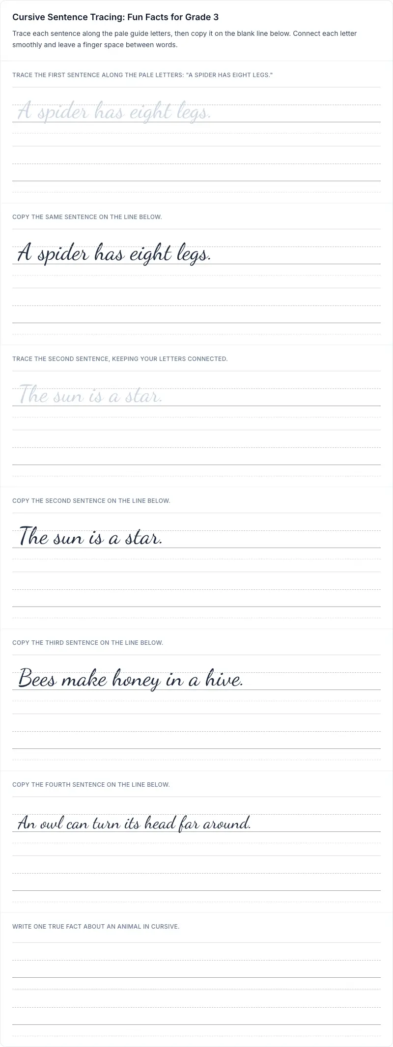 Sentence Practice cursive worksheet: Cursive Sentence Tracing: Fun Facts for Grade 3 for grade 3 with 8 guided practice lines